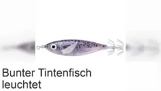 Der farbenfrohe Tintenfisch Metasepia pfefferi ist ein leuchtend farbiges Weichtier