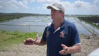 Interview with Alistair Dick - Manager of Gold Coast Tiger Prawns