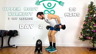 15 Min Upper Body Workout for Beginners & Seniors | Build Muscle | 7 Day Refresh | Day 2