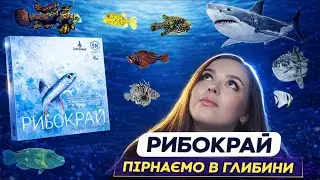Рибокрай 🎲 Пірнаємо в сімейну єврогру