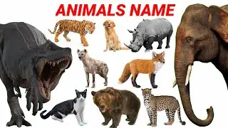 Animals Video with Pictures | Learn Animals Name Cow, Dog, Rhino, Bison | Kids Education Video| #cow