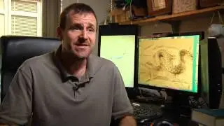 Sidewinder Rattlesnake's Sand Motion Studied For Robotics | Video