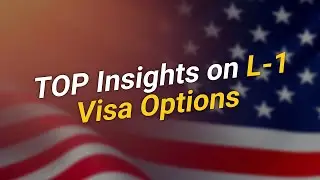 Navigating L-1 Visas: Blanket vs. Individual Petitions 🇺🇸