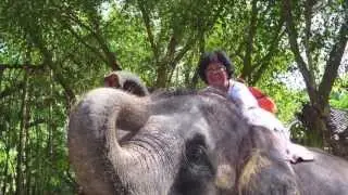 Phuket Travel Experience