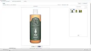 How To Download Images From Zenfolio