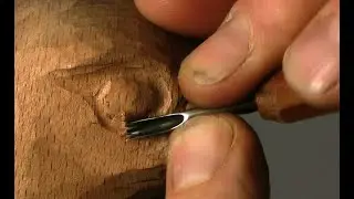 How to Carve a Merlin Hawk - 12 Focusing