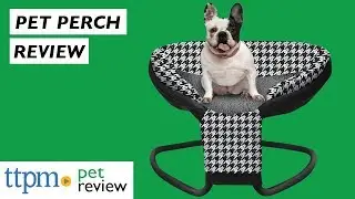 Perch Pet Nest Dog Bed Review from Perch Pet Products