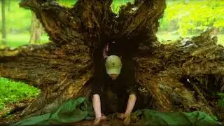 Building a Secret Dugout Inside a Hollow Tree | Building the Most Hidden BushcraftShelter