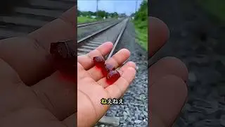 おじさん、鉄道のレールにそれを置かないで！🚂❌
