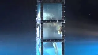The Illusionists