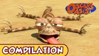 Oscar's Oasis 20 MINUTES 1