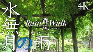 Rain Walk【4K】Mindfulwalk - June Greenway