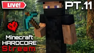 Minecraft HARDCORE stream 11