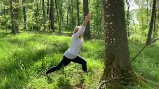 Wald Yoga   Frieden