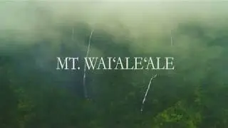 Mt. Waiʻaleʻale