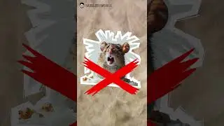 Видео для производителя / Без съёмки человека /Графика /  Видео для бизнеса / Воронеж
