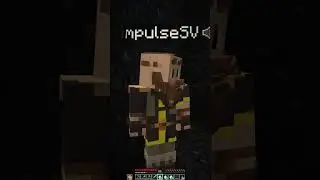 WHO HAS THE BEST MINECRAFT STATS???  #shorts