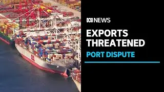 Industrial dispute at Australia's ports threatens exports, deliveries | ABC News