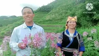 Ruag muag thiab lag hawj lug txiaj tawm tshiab