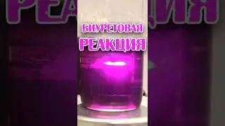 Биуретовая реакция с ЖЕЛАТИНОМ #experiment #школа #education #science #chemistry