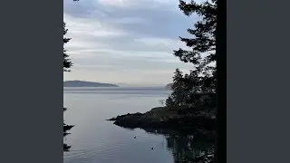 Sailing Puget Sound On A Beautiful Day