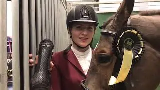 Sponsored Rider Grace Wallace at TheraPlate UK Liverpool International Horse Show