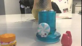 shopkins stop motion