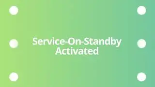 What is Brand Champions' SOS Service?