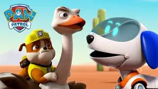 &iexcl;Perrobot salva a Rubble de un avestruz que se ha escapado! - PAW Patrol Episodio Espa&ntilde;ol Espa&ntilde;ol