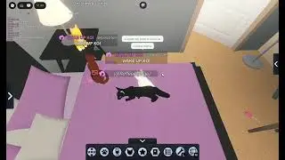 First time NPC hunting on Warrior Cats for fun! 