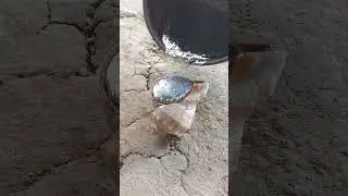 Scrap Metal Art: Pouring Molten Copper Silver Shell #viralvideo #restoration #art #aluminum