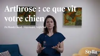 Reconna&icirc;tre les signes d&rsquo;arthrose chez le chien | Dr Maud Clavel, v&eacute;t&eacute;rinaire