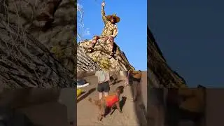 Climbing a tree to a rock in a river! Labyrinth Canyon