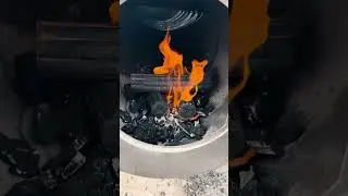 Flavor Starts with Fire &mdash; BLOX Hardwood Firelogs According to Chuck #shorts