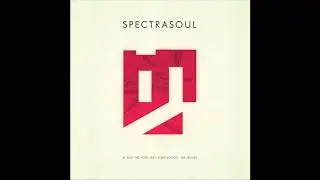 Spectrasoul - Play The Fool (feat. Jamie Jooste)