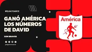#los120segundosdelgato GAN&Oacute; AM&Eacute;RICA Y LOS NUMEROS DE DAVID GONZ&Aacute;LEZ SON BRAVOS!