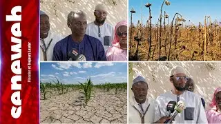 Agroécologie et agro-bio : Des consultations à la base sur les enjeux et défis du changement…………….
