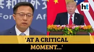 Watch: China slams Donald Trump for halting WHO funding amid Covid pandemic