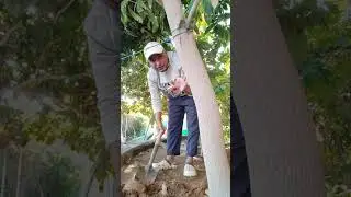  অাজকে # অনেক # কাজ