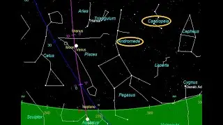 Venus Magic 2.0
