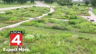 Living art installation stolen from Oudolf Gardens on Belle Isle in Detroit