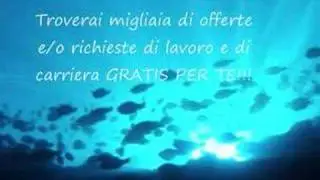 Affari Italia, Import & Export