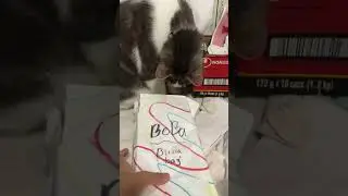 Love Sibbys
