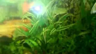 MOV00168