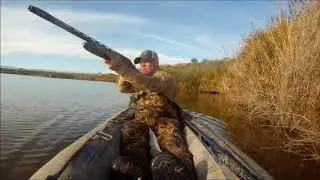 Jimmy's cinnamon teal hunt.