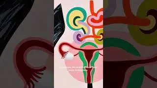 FemTech is changing the future of women&rsquo;s health &mdash; but is it enough?