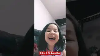 Funny Bird, Funny Video, funny Moment, #youtubeshorts #shortvideo #lol #funnymeme #funny #funnyvideo