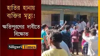 Man killed in elephant attack in Kharibari, family protests urging financial compensation (Bangla)
