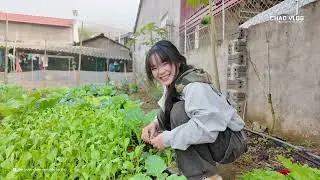 Đưa Ẻm Minh Thư Lên Đồi Chuối..!!!