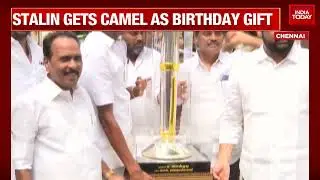 Image Of The Day| Stalin Gets Camel As Birthday Gift